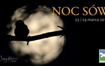 „Noc sów” ponownie w Iławie i Suszu