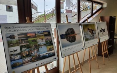 Wystawa fotograficzna pt. „Jeziora i ich ptasi mieszkańcy”